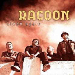 racoon clean again